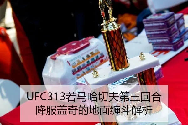 UFC313若马哈切夫第三回合降服盖奇的地面缠斗解析